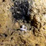 Qui sono ben visibili delle piccole nicchie nel muro, scurite dal fumo di piccole lucerne e candele, che venivano poste per illuminare gli ambienti